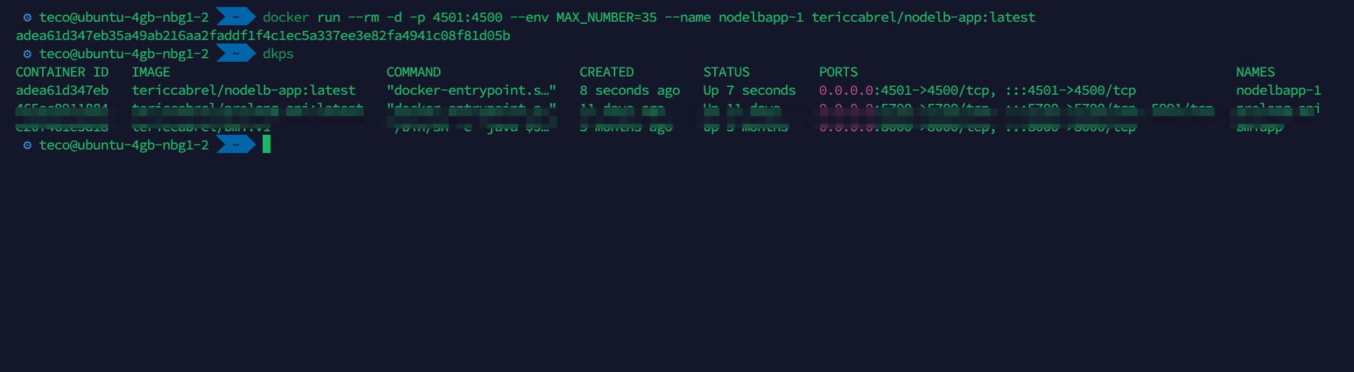 View the Docker container of the Node.js application.