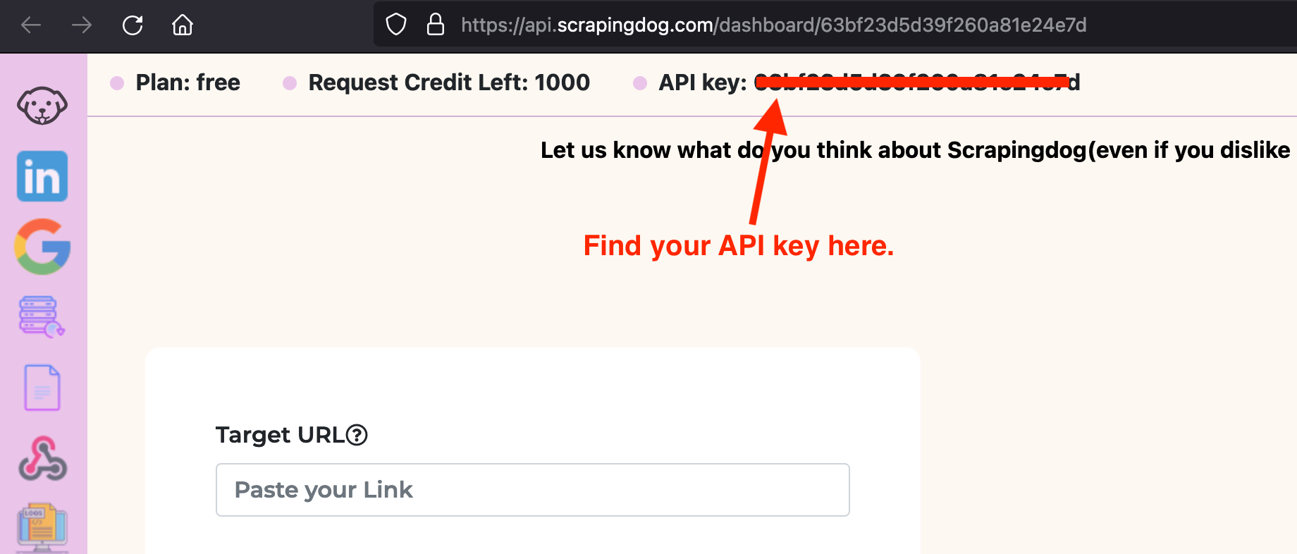Copy the API key from the Scrapingdog dashboard.