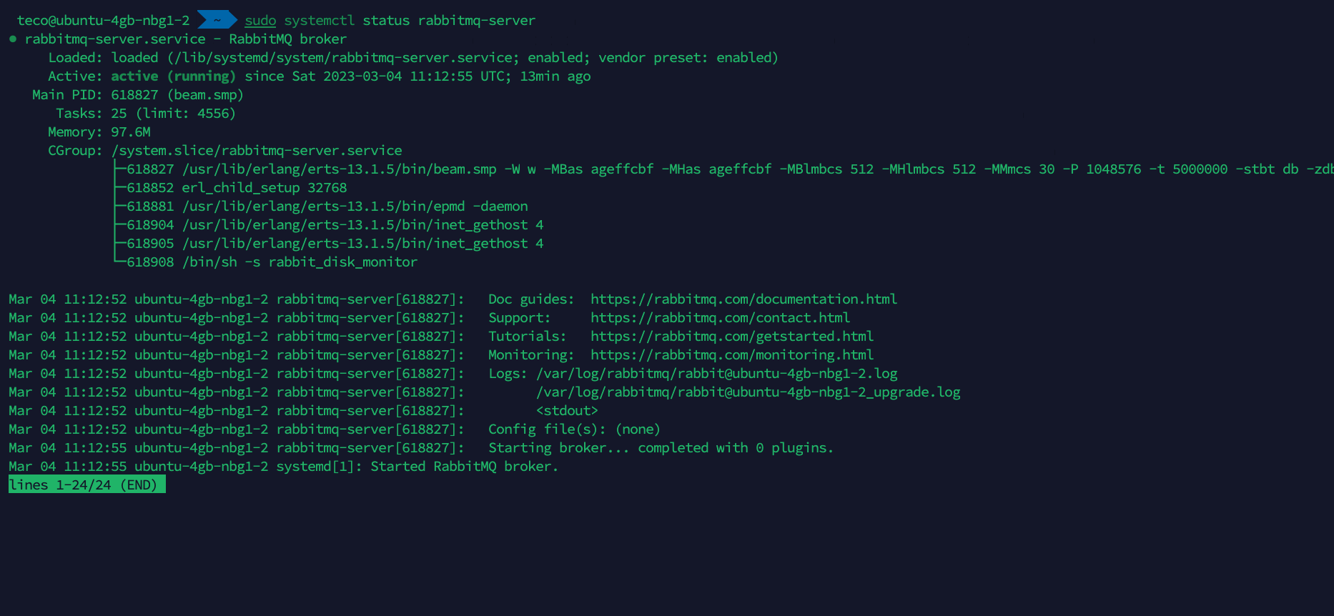 The RabbitMQ server status is up and running.