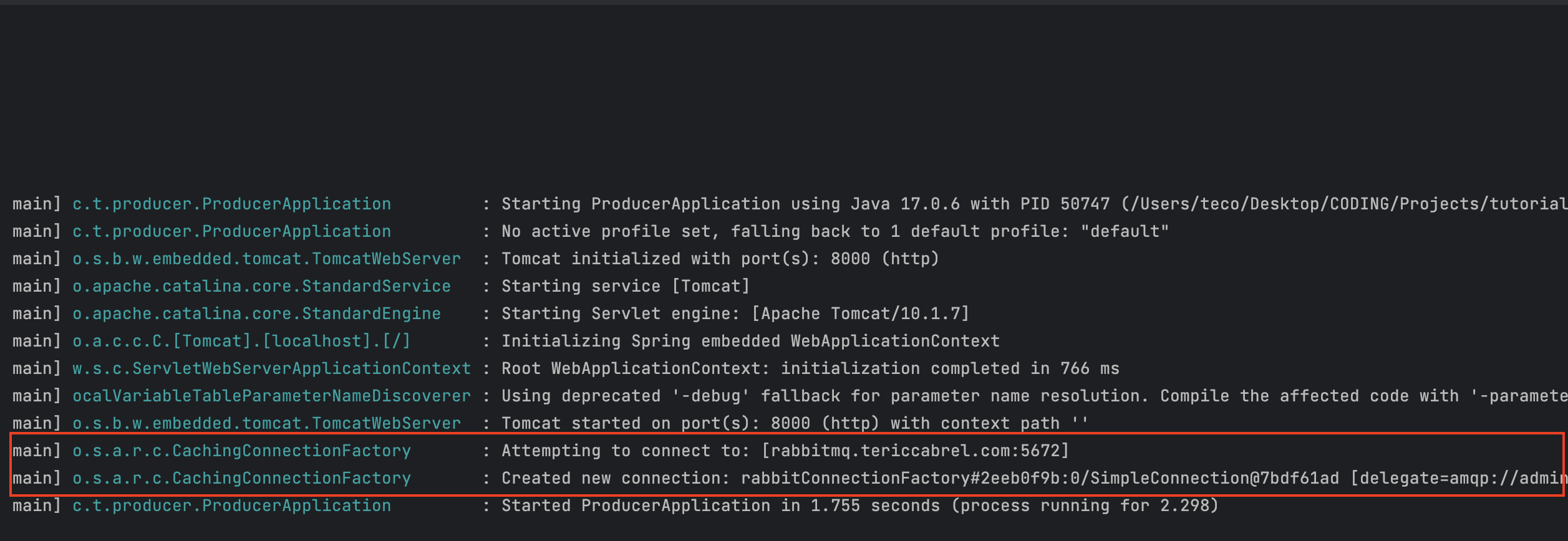 The Spring Boot application was successfully connected to the RabbitMQ server.
