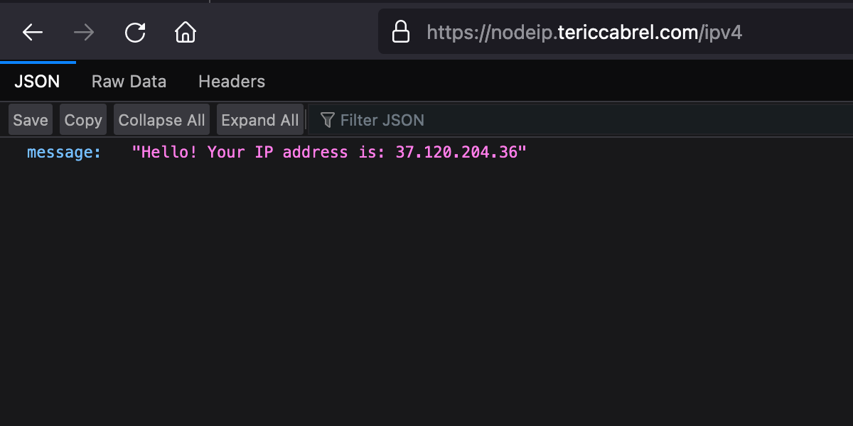 The real user IP address is displayed from the Node.js application.