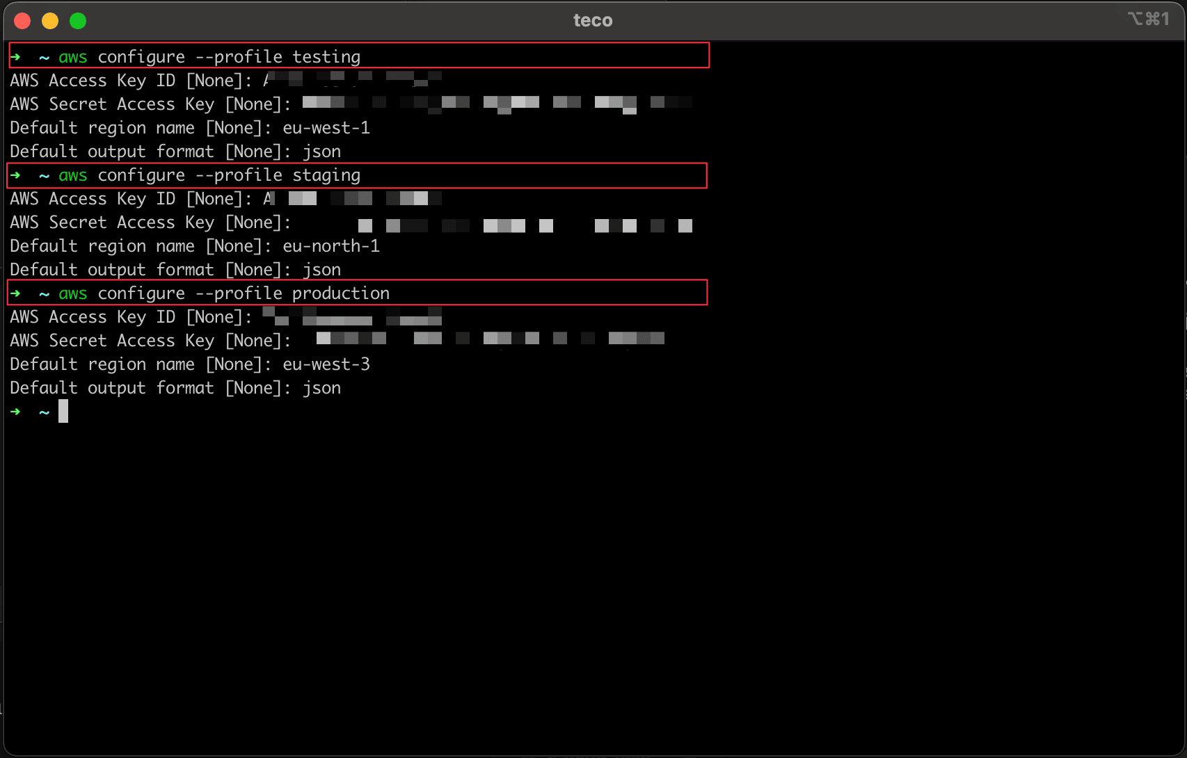 Configure many AWS CLI profiles.