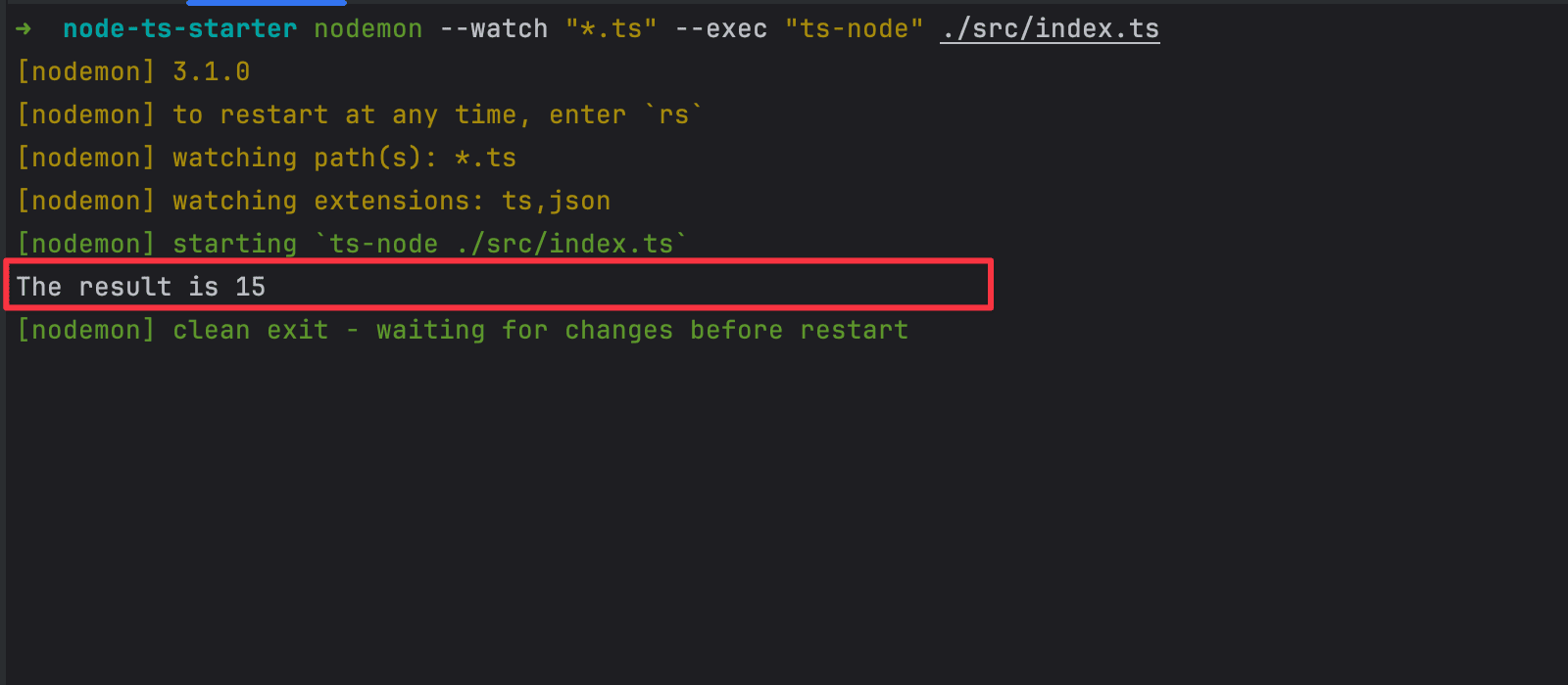 Run a TypeScript project with TS Node.