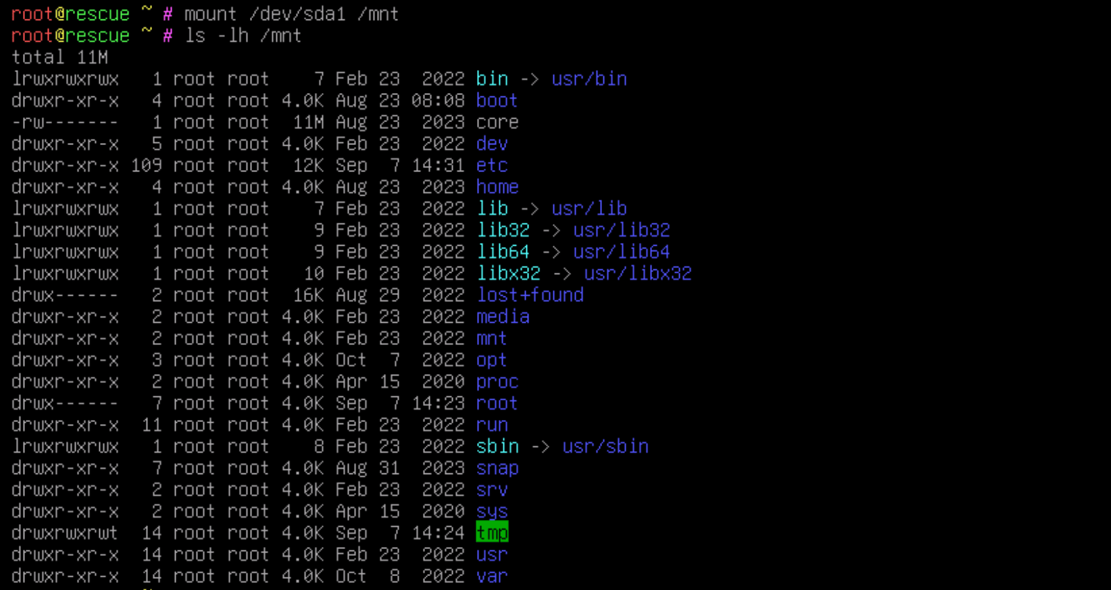 List the files in the server disk partition.