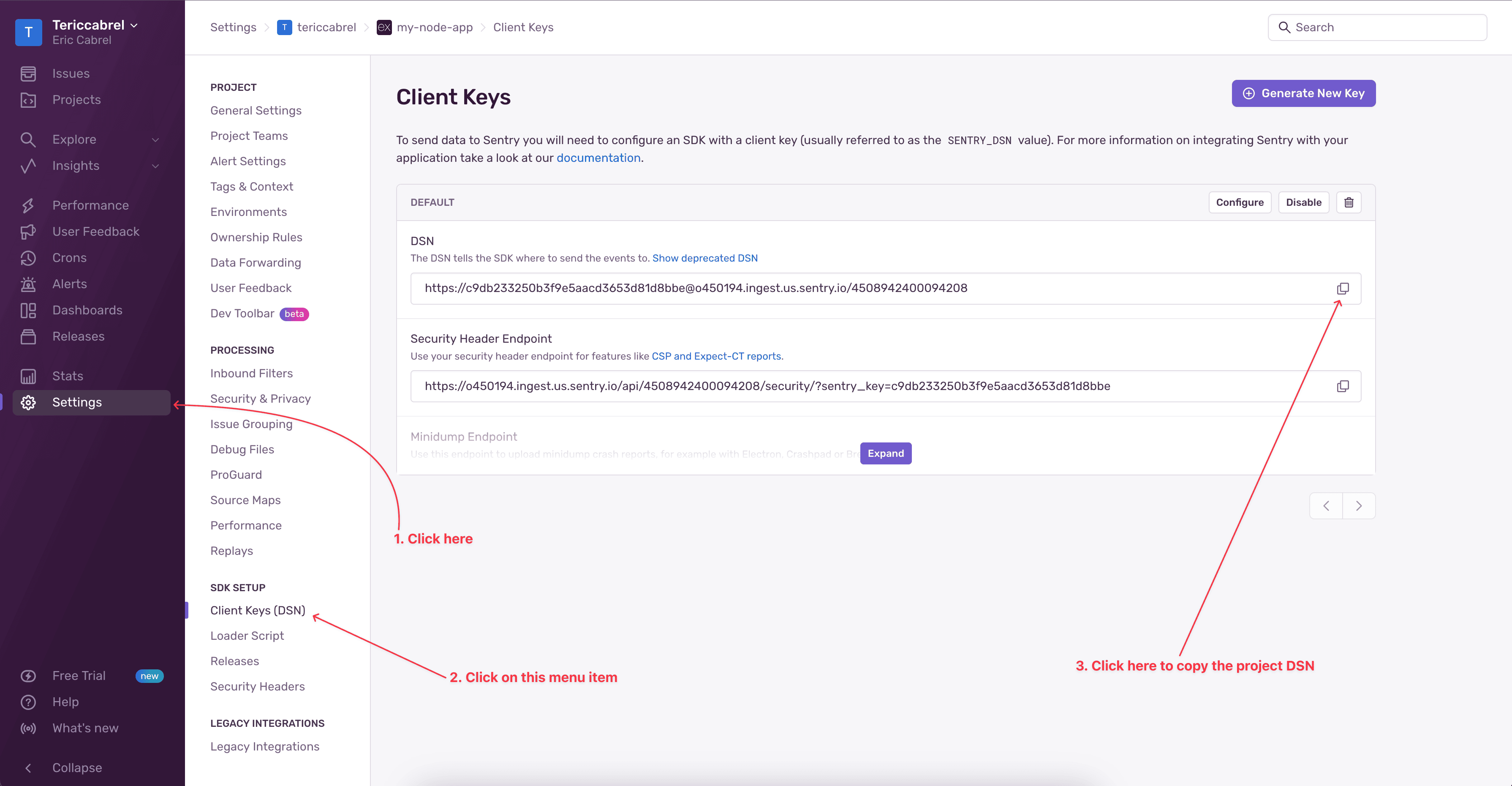 Retrieve the Sentry DSN for a project.