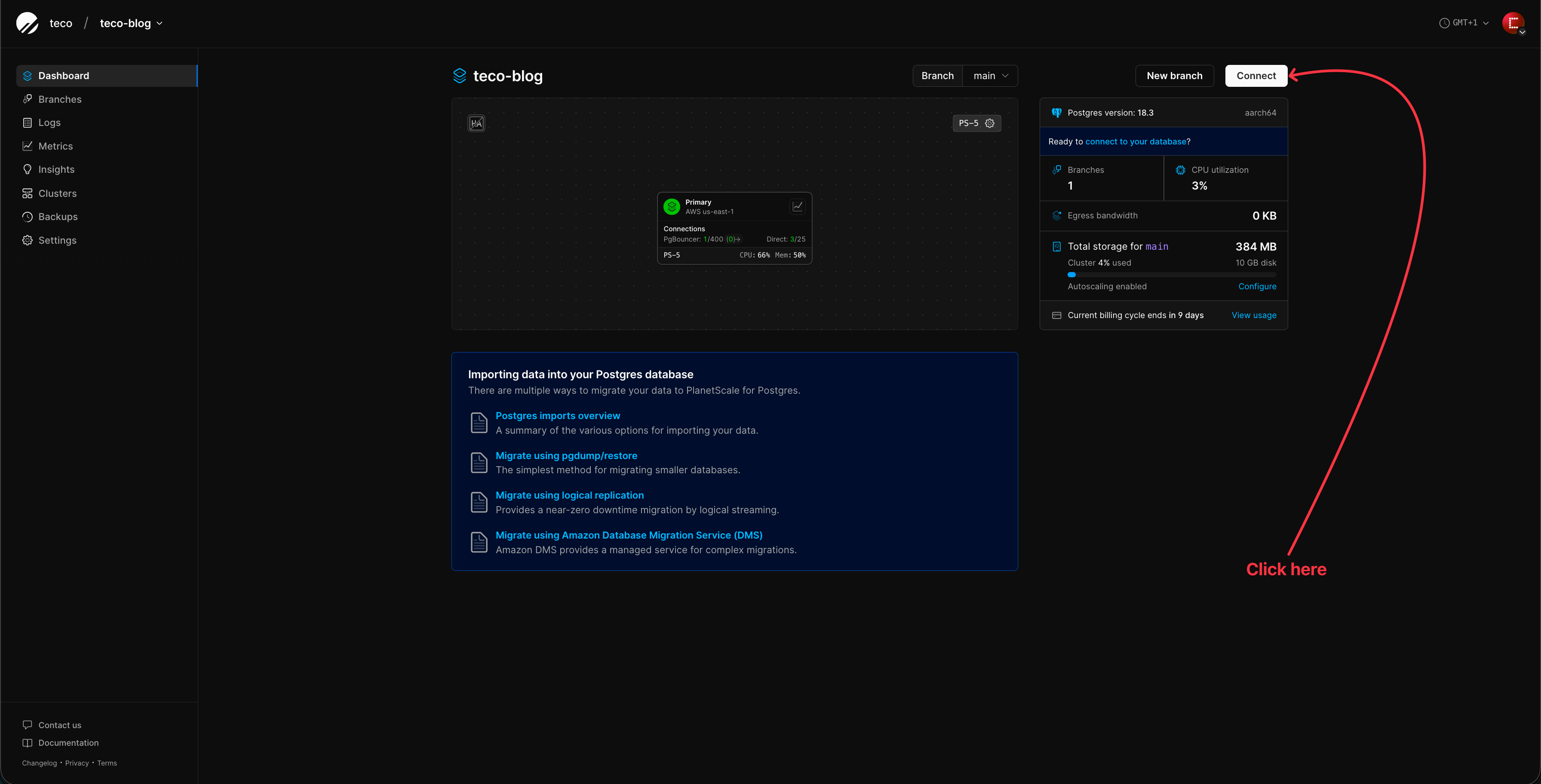 View the PostgreSQL database instance in PlanetScale.