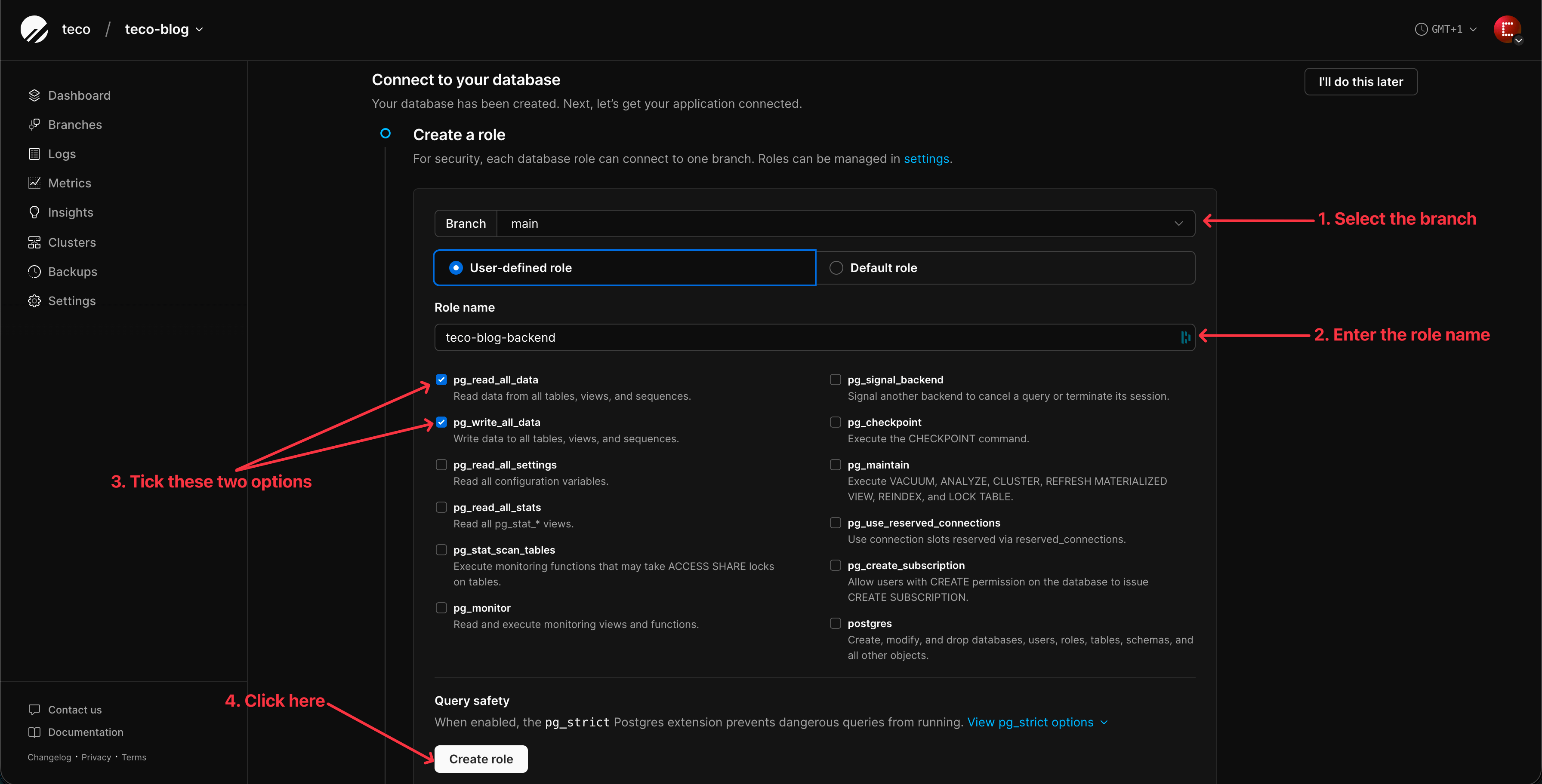 Create a database role for the main branch of the Postgres database instance.