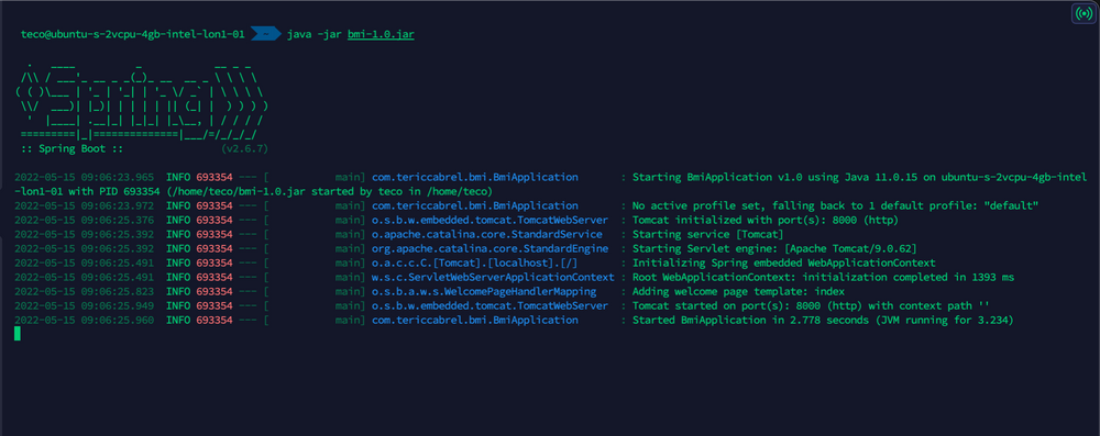 deploy-a-spring-boot-application-jar-file-with-nginx-reverse-proxy