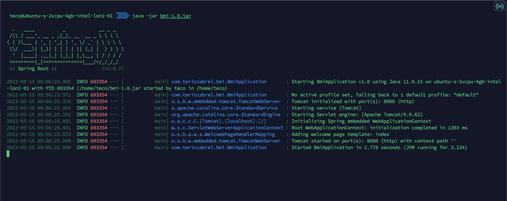 Deploy a Spring Boot application JAR file with Nginx reverse proxy