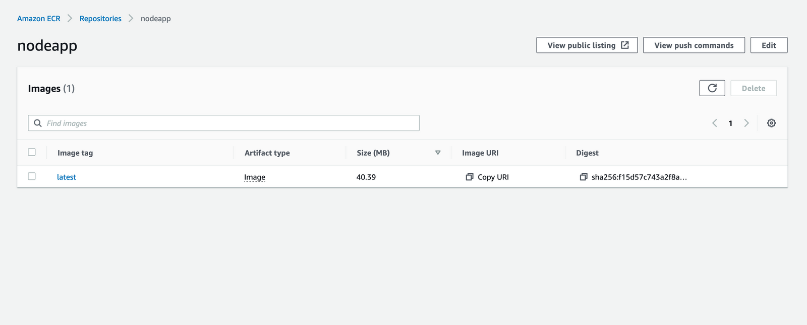 Push A Docker Image In Aws Elastic Container Registry