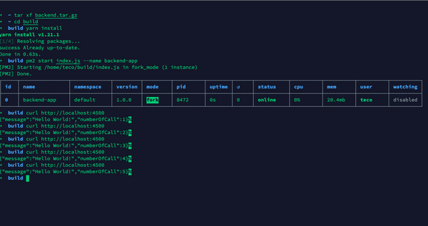 Deploy A Node.js Application With PM2 And Nginx